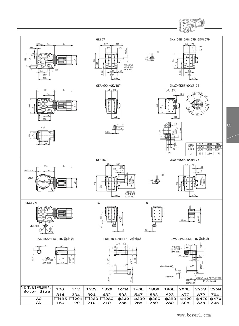 德國(guó)BOSERL減速機(jī)電機(jī)K107.jpg